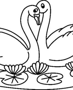 Cygne 02 - 10doigts.fr