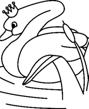 Cygne 03 - 10doigts.fr