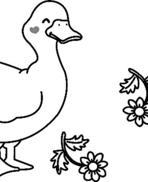 Oie 01 - 10doigts.fr