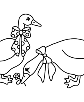 Oie 02 - 10doigts.fr