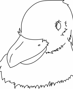 Oiseau 34 - 10doigts.fr