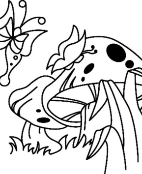 Papillon 03 - 10doigts.fr