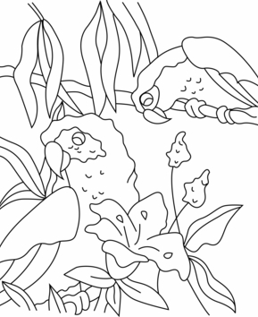 Perroquet 03 - 10doigts.fr