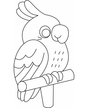 Perruche 01 - 10doigts.fr