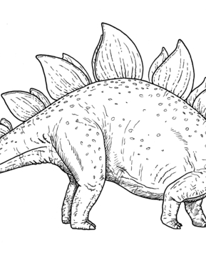 Dinosaure 34 - 10doigts.fr