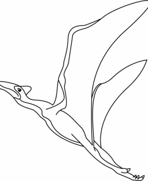 Quezalcoatlus - 10doigts.fr