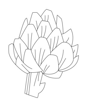 Artichaut 01 - 10doigts.fr