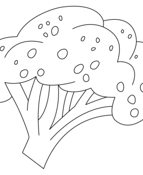 Brocolis 01 - 10doigts.fr