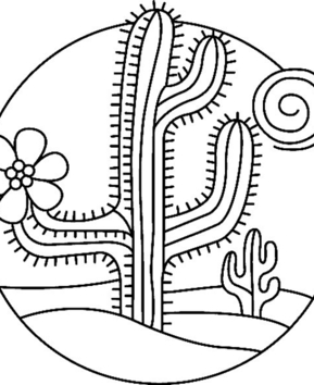 Cactus 02 - 10doigts.fr