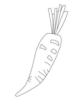 Carotte 03 - 10doigts.fr