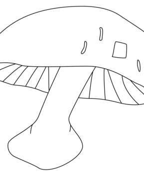 Champignon 02 - 10doigts.fr