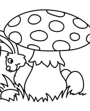 Champignon 03 - 10doigts.fr