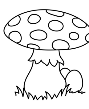 Champignon 05 - 10doigts.fr