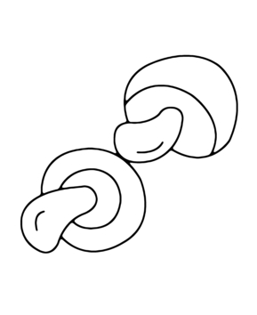 Champignons 02 - 10doigts.fr