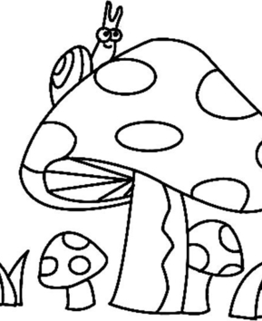 Champignons 03 - 10doigts.fr