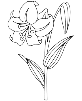 Fleur 003 - 10doigts.fr