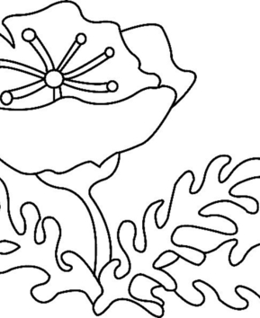 Fleur 012 - 10doigts.fr