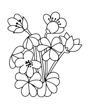 Fleurs 002 - 10doigts.fr