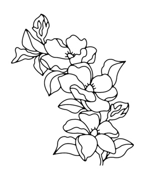 Fleurs 009 - 10doigts.fr