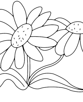 Fleurs 011 - 10doigts.fr