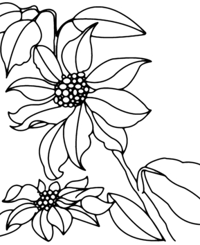 Fleurs 013 - 10doigts.fr