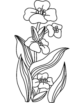 Fleurs 018 - 10doigts.fr