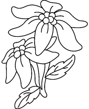 Fleurs 033 - 10doigts.fr