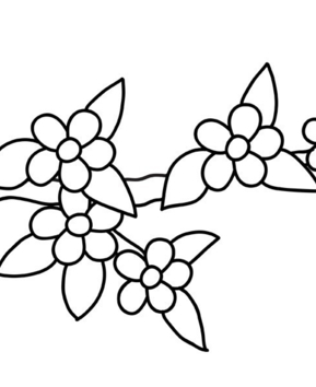 Fleurs 043 - 10doigts.fr