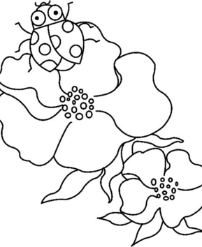 Fleurs et coccinelles 01 - 10doigts.fr