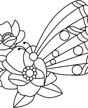 Fleurs et papillons 05 - 10doigts.fr