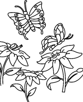 Fleurs et papillons 07 - 10doigts.fr