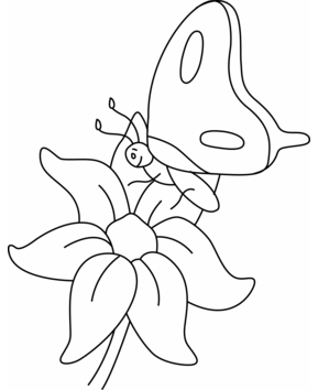 Fleurs et papillons 08 - 10doigts.fr