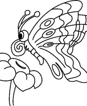 Fleurs et papillons 10 - 10doigts.fr