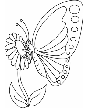 Fleurs et papillons 12 - 10doigts.fr