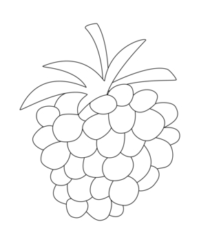 Framboise 01 - 10doigts.fr