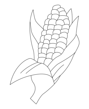 Maïs 02 - 10doigts.fr