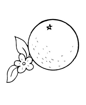 Orange 02 - 10doigts.fr