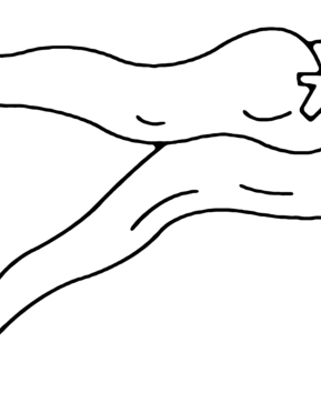 Piments 01 - 10doigts.fr