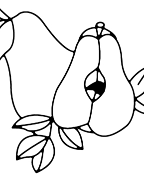 Poire 02 - 10doigts.fr