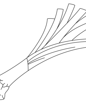 Poireau 02 - 10doigts.fr