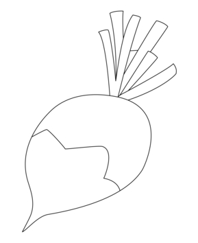 Radis 01 - 10doigts.fr