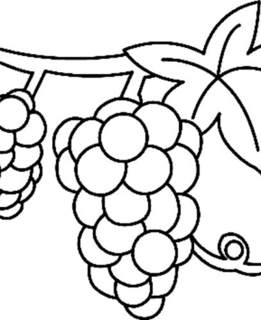 Raisin 01 - 10doigts.fr