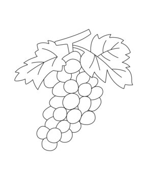 Raisins 02 - 10doigts.fr