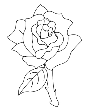 Rose 02 - 10doigts.fr