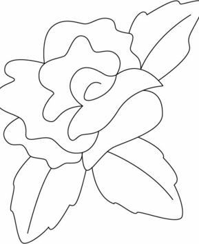 Rose 03 - 10doigts.fr