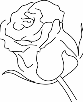 Rose 04 - 10doigts.fr