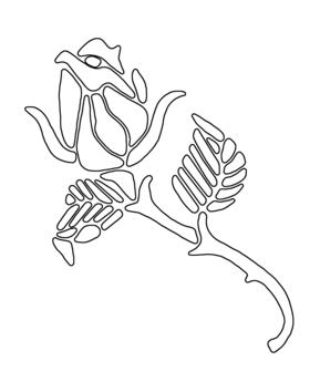 Rose 05 - 10doigts.fr