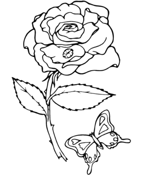 Rose 06 - 10doigts.fr