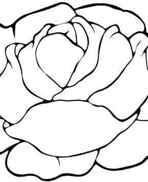 Salade 01 - 10doigts.fr