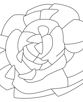 Salade 02 - 10doigts.fr